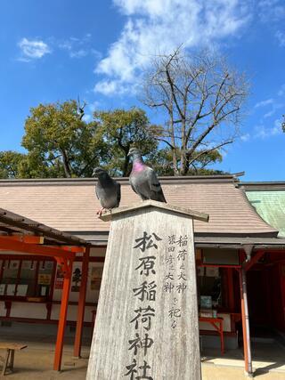 松原神社のクチコミ写真1