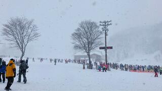 札幌国際スキー場のクチコミ写真2