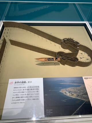 滋賀県立琵琶湖博物館のクチコミ写真10