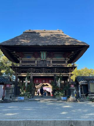 青井阿蘇神社のクチコミ写真3