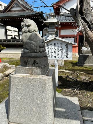 湊稲荷神社のクチコミ写真3