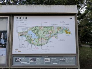 中島公園のクチコミ写真4