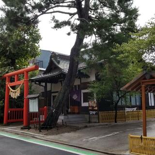 猿田彦神社の写真26