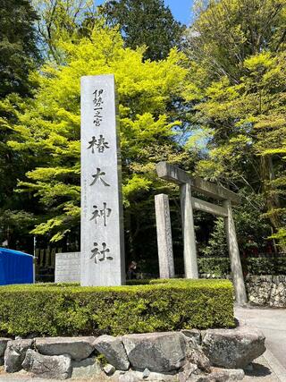 椿大神社のクチコミ写真1