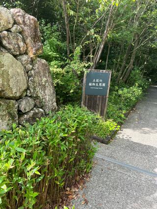 高知県立牧野植物園のクチコミ写真2