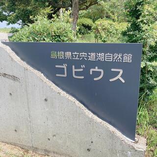 島根県立宍道湖自然館ゴビウスのクチコミ写真1