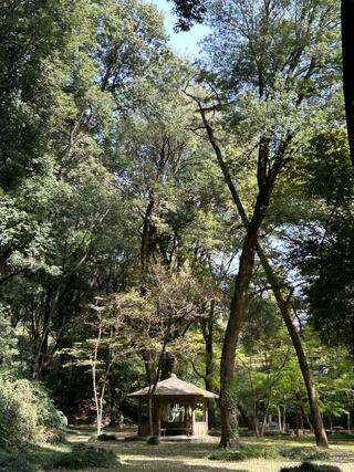 群馬県立公園アイ・ディー・エー群馬の森のクチコミ写真9