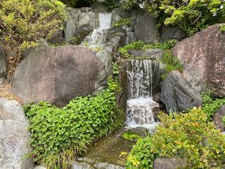 大仙公園日本庭園のクチコミ写真5