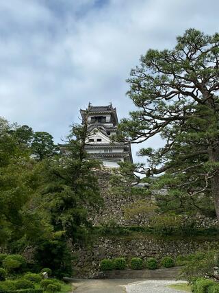 高知城のクチコミ写真3