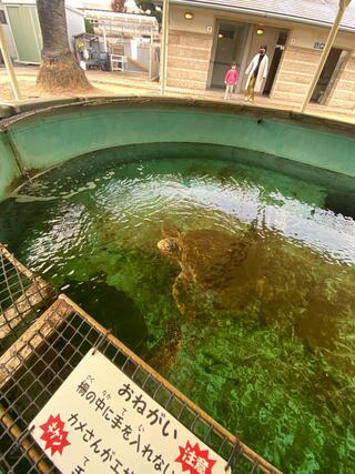 渋川マリン水族館のクチコミ写真2