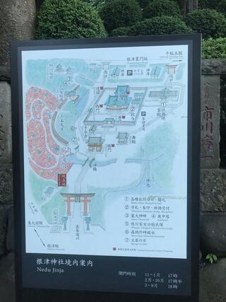 根津神社のクチコミ写真3