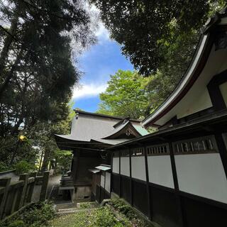 泉神社の写真1