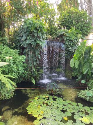 夢の島熱帯植物館のクチコミ写真2
