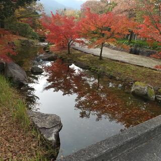 香川用水記念公園の写真20