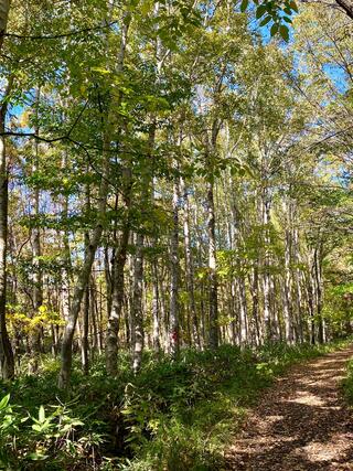 北海道立野幌森林公園自然ふれあい交流館のクチコミ写真5