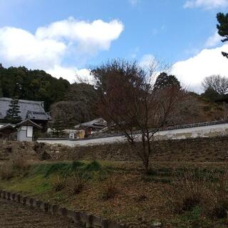 本松山 高月院 寂静寺の写真25