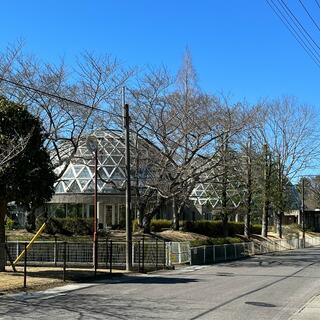 豊田市鞍ヶ池植物園の写真15