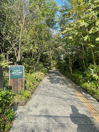 高知県立牧野植物園のクチコミ写真2