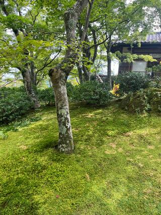 箱根美術館のクチコミ写真3