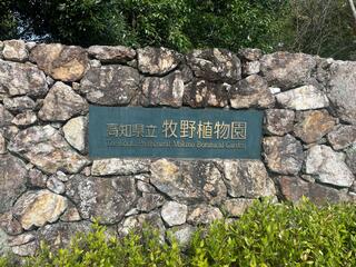 高知県立牧野植物園のクチコミ写真1