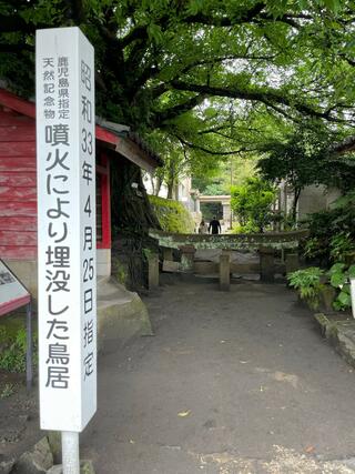 黒神埋没鳥居のクチコミ写真5