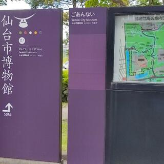 仙台市博物館の写真9