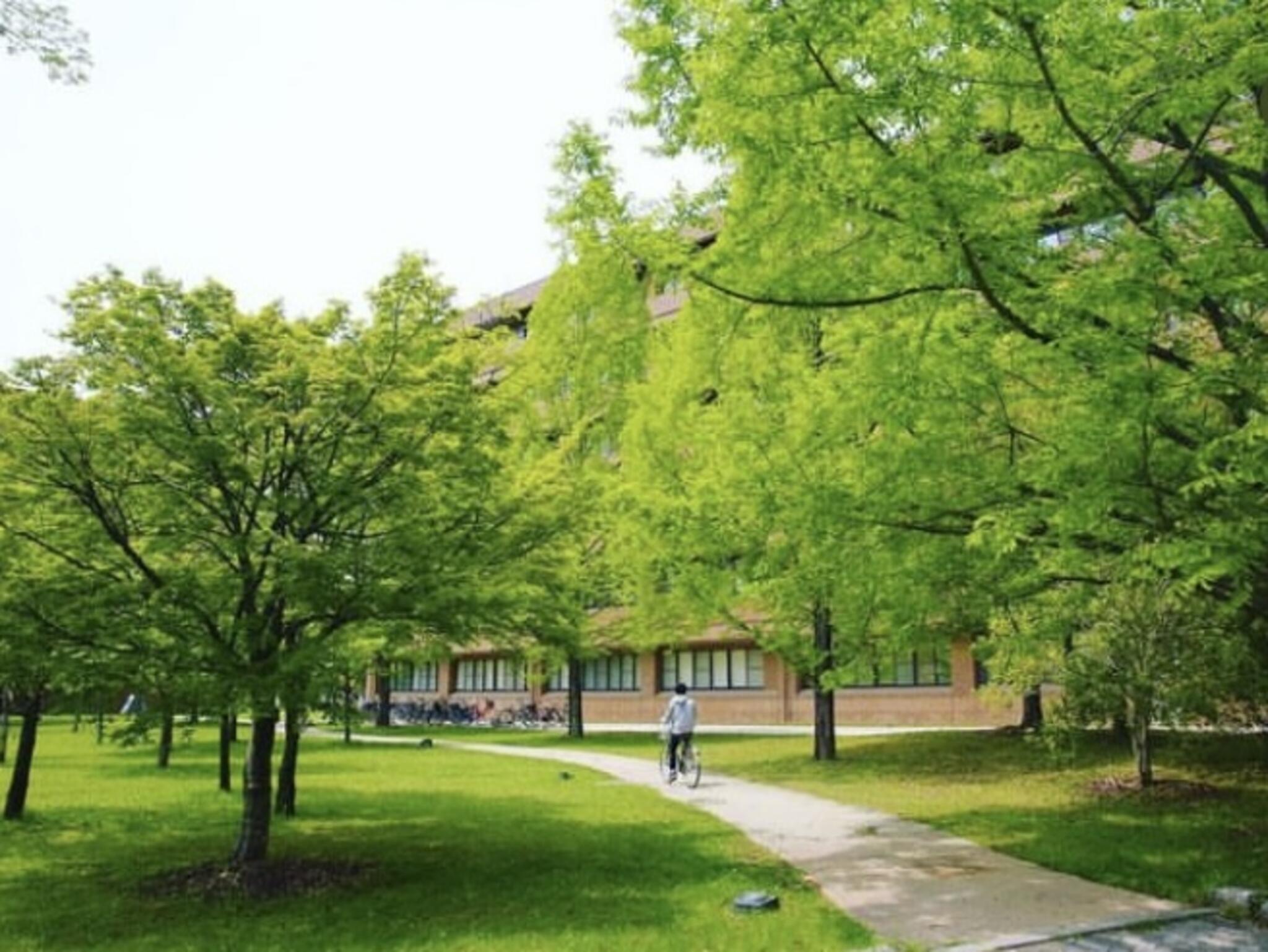 広島大学の代表写真3