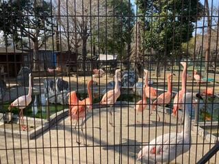 久留米市鳥類センターのクチコミ写真4