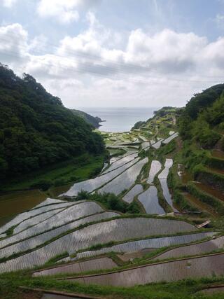 浜野浦の棚田展望台のクチコミ写真3