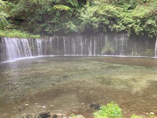 白糸の滝のクチコミ写真1