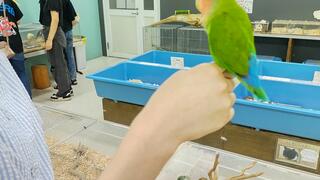 いきものふれあい学校 松山店のクチコミ写真1