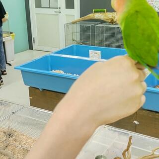 いきものふれあい学校 松山店の写真15