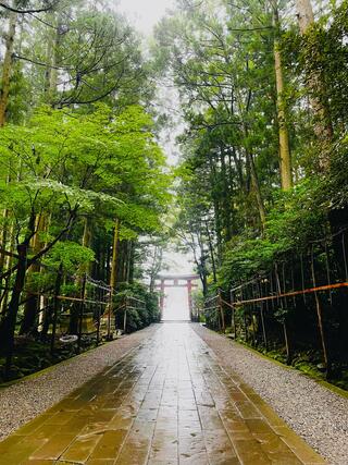 越後一宮 彌彦神社のクチコミ写真2