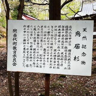 磐椅神社のクチコミ写真8
