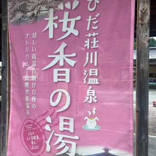 ひだ荘川温泉 桜香の湯の写真13