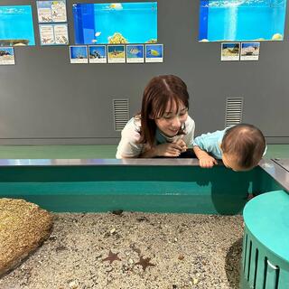 福山大学 マリンバイオセンター 水族館のクチコミ写真2