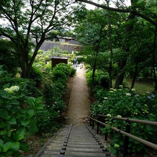 天拝山歴史自然公園の写真24