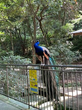 大牟田市動物園のクチコミ写真2