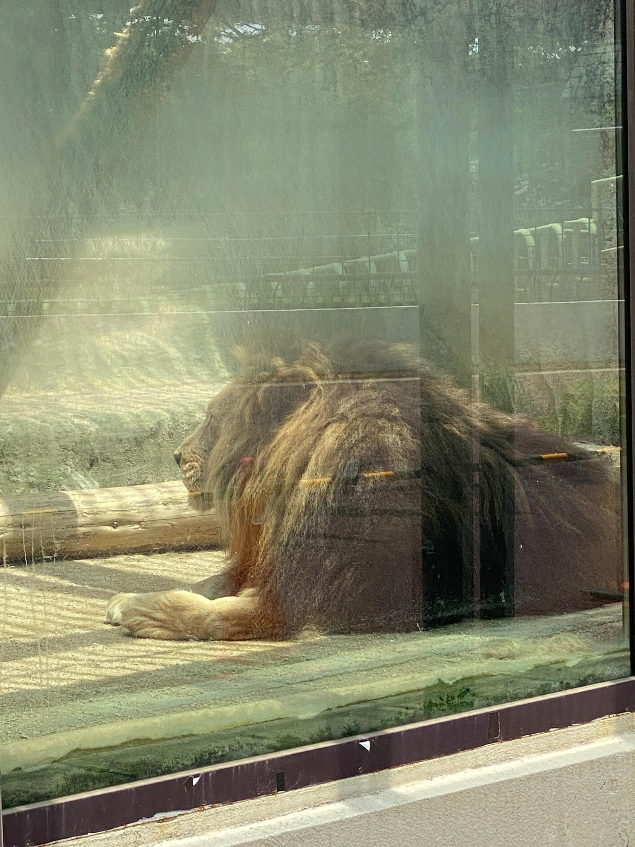 熊本市動植物園の代表写真7