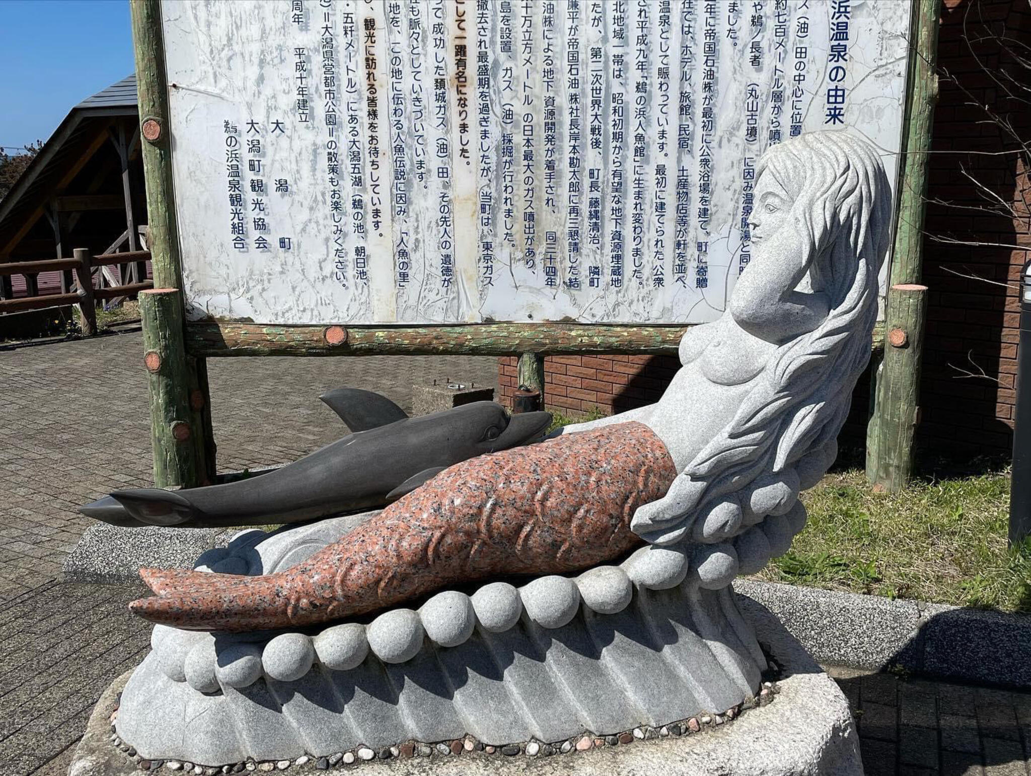 鵜の浜人魚館の代表写真3