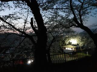 紫波城山公園のクチコミ写真6