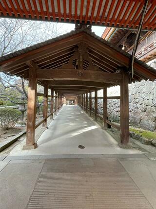 吉備津神社のクチコミ写真1