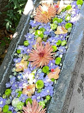 行田八幡神社のクチコミ写真5