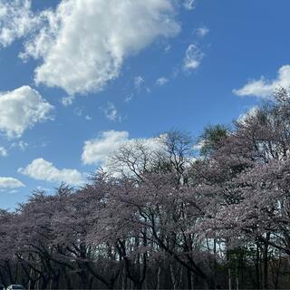 戸田記念墓地公園の写真15