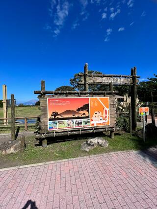 鹿児島市平川動物公園のクチコミ写真2