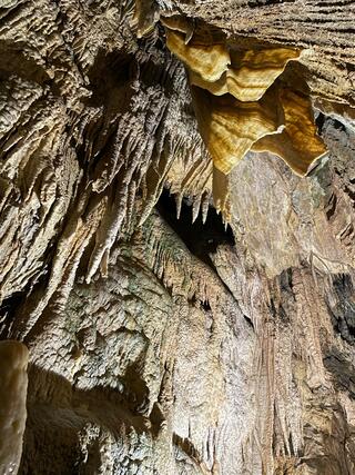 大滝鍾乳洞のクチコミ写真4