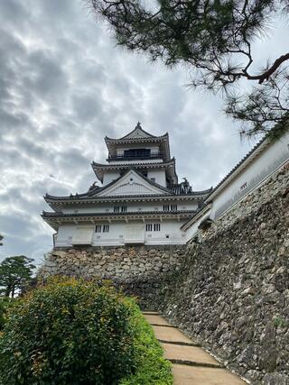 高知城のクチコミ写真8