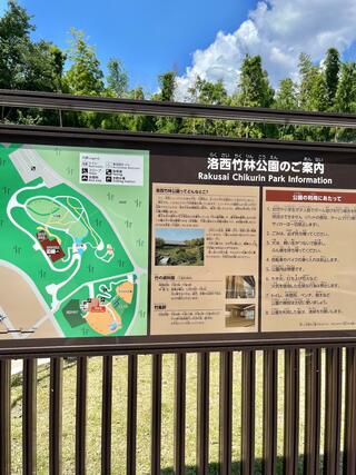 京都市洛西竹林公園のクチコミ写真2