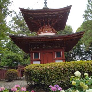 久米寺の写真25