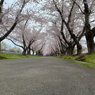 戸田記念墓地公園の写真25